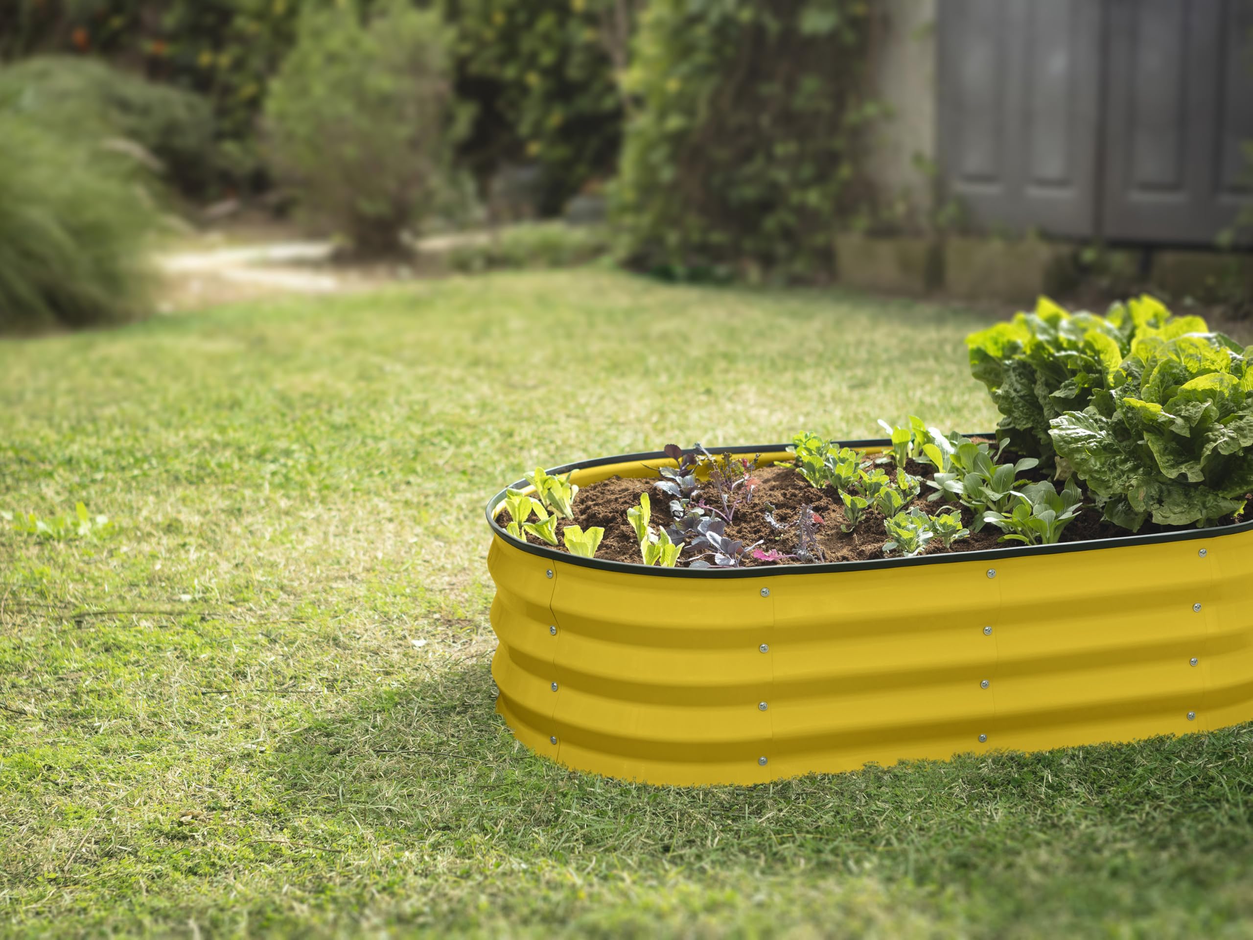 Plant & Plot label and warranty sticker showing product details and 3-year protection