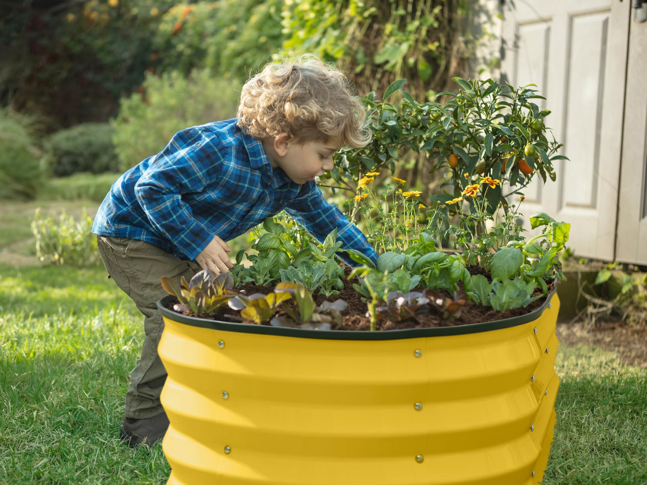 Plant & Plot yellow raised bed on patio showing aesthetic appeal and small-space gardening