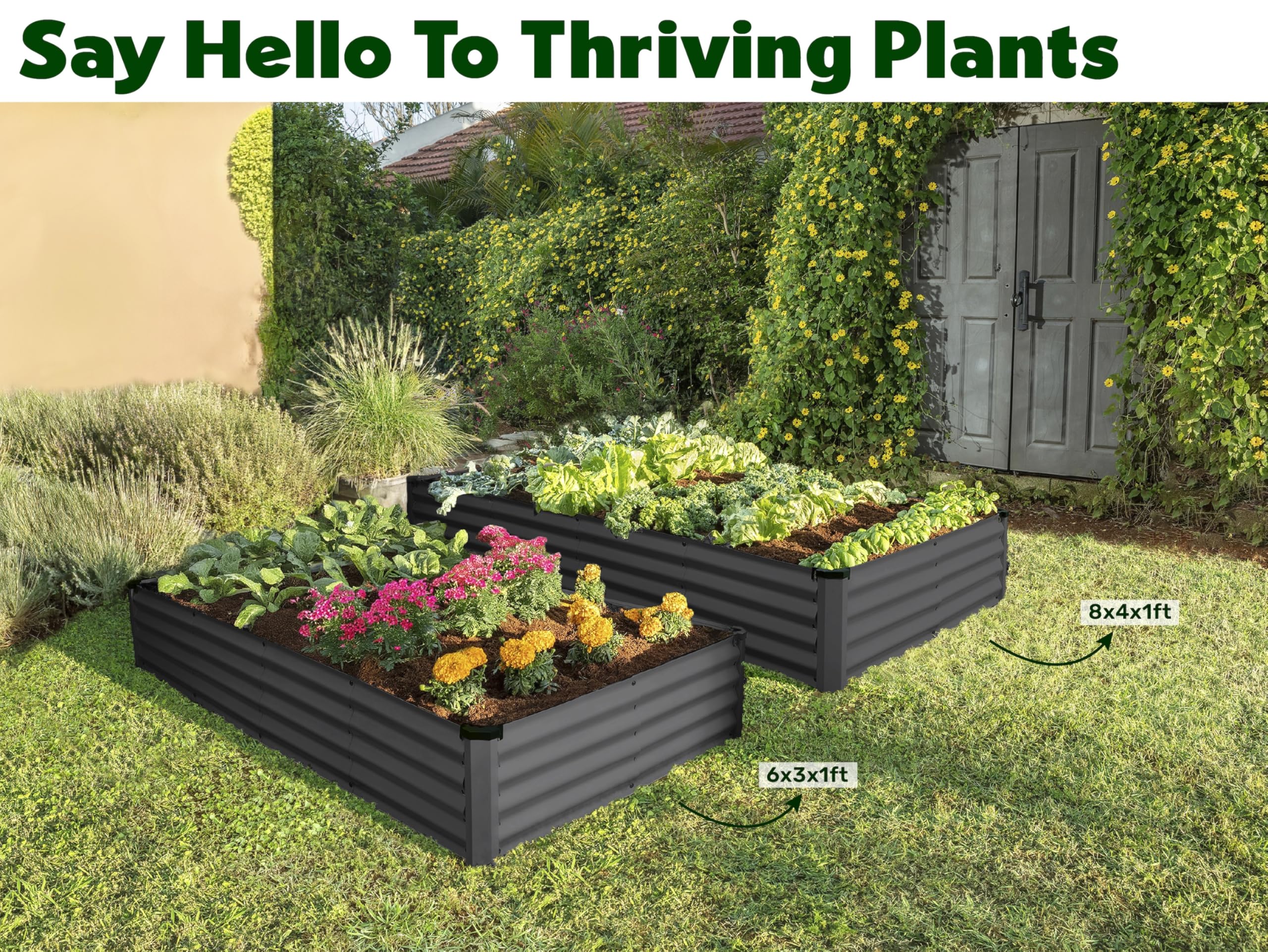 Plant & Plot size comparison with hand and ruler demonstrating exact 8x4x1 ft footprint