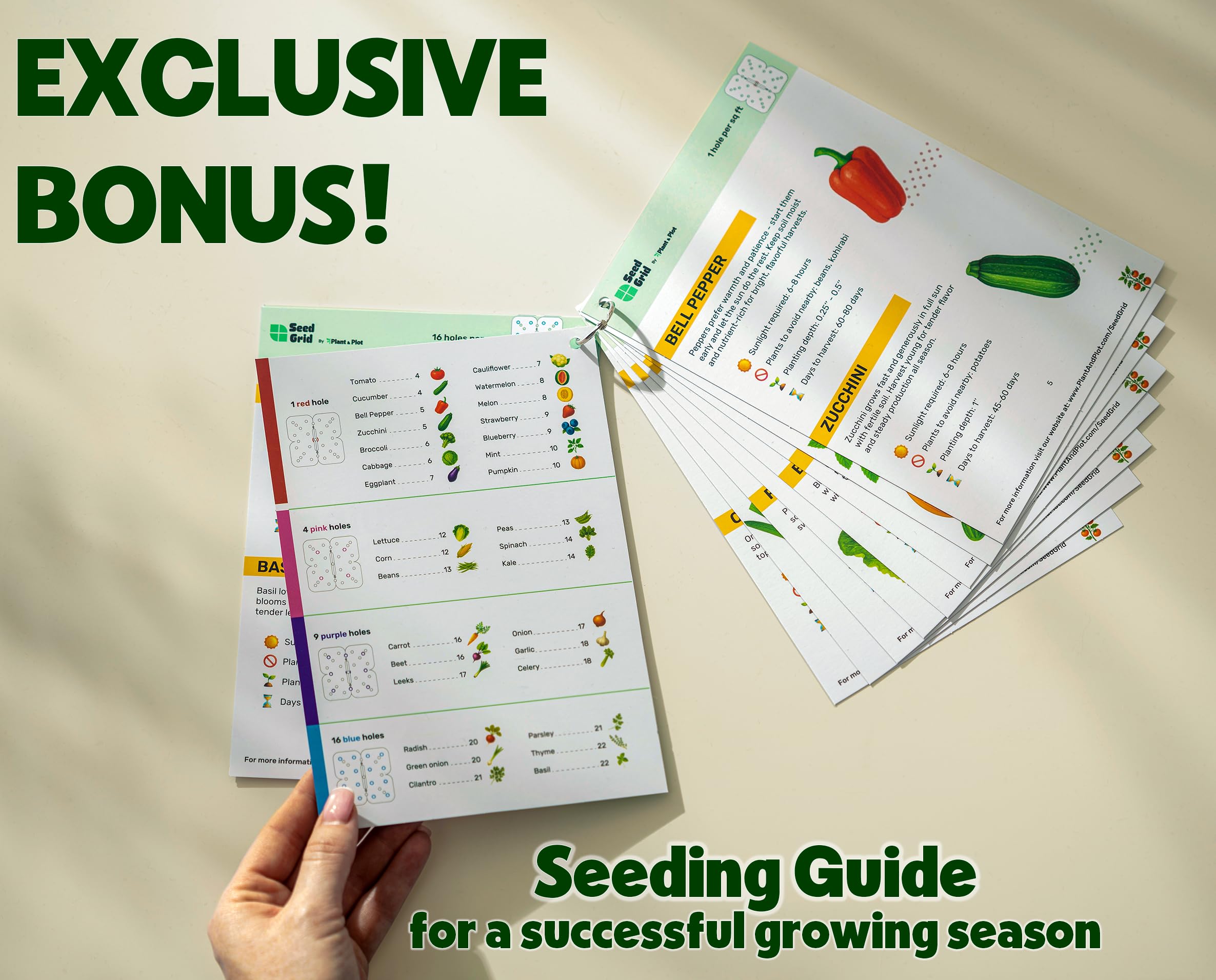 Plant & Plot template beside seedlings showing organized growth