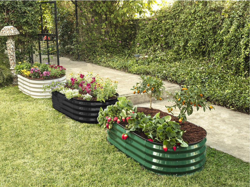 Plant & Plot on urban balcony with herbs illustrating space-saving container gardening