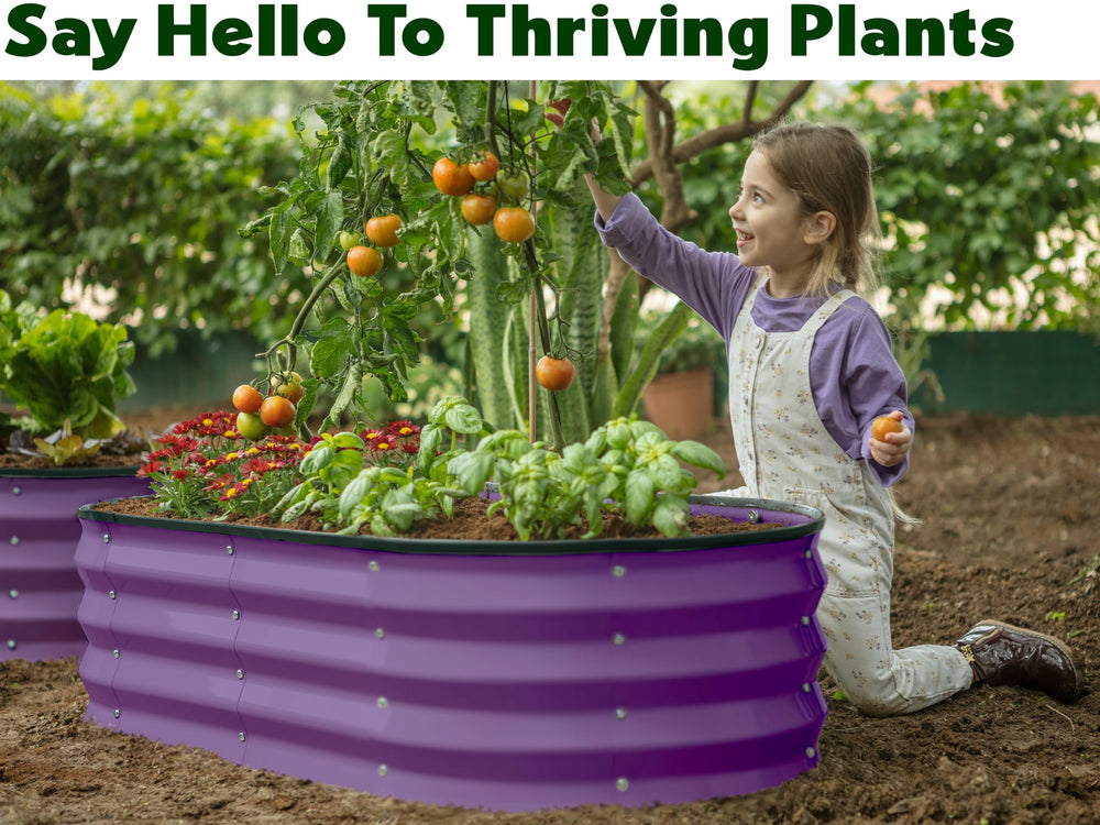 Plant & Plot two beds assembled in a backyard illustrating efficient use of small outdoor space