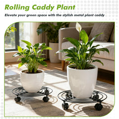 Planterhoma clear plastic saucer top view showing water-catching protection for floors