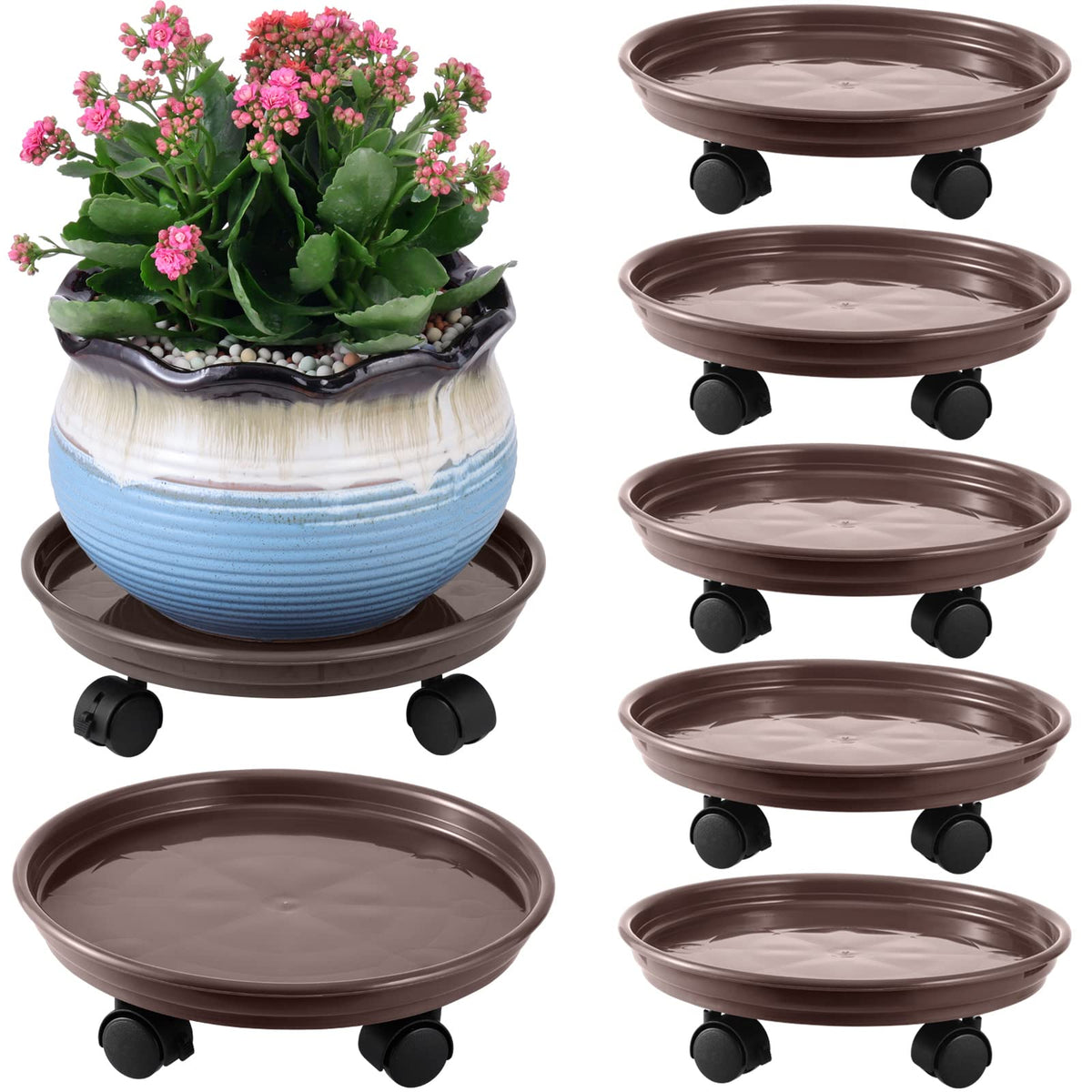 Planterhoma front view of six-pack packaged caddies showing value and convenience