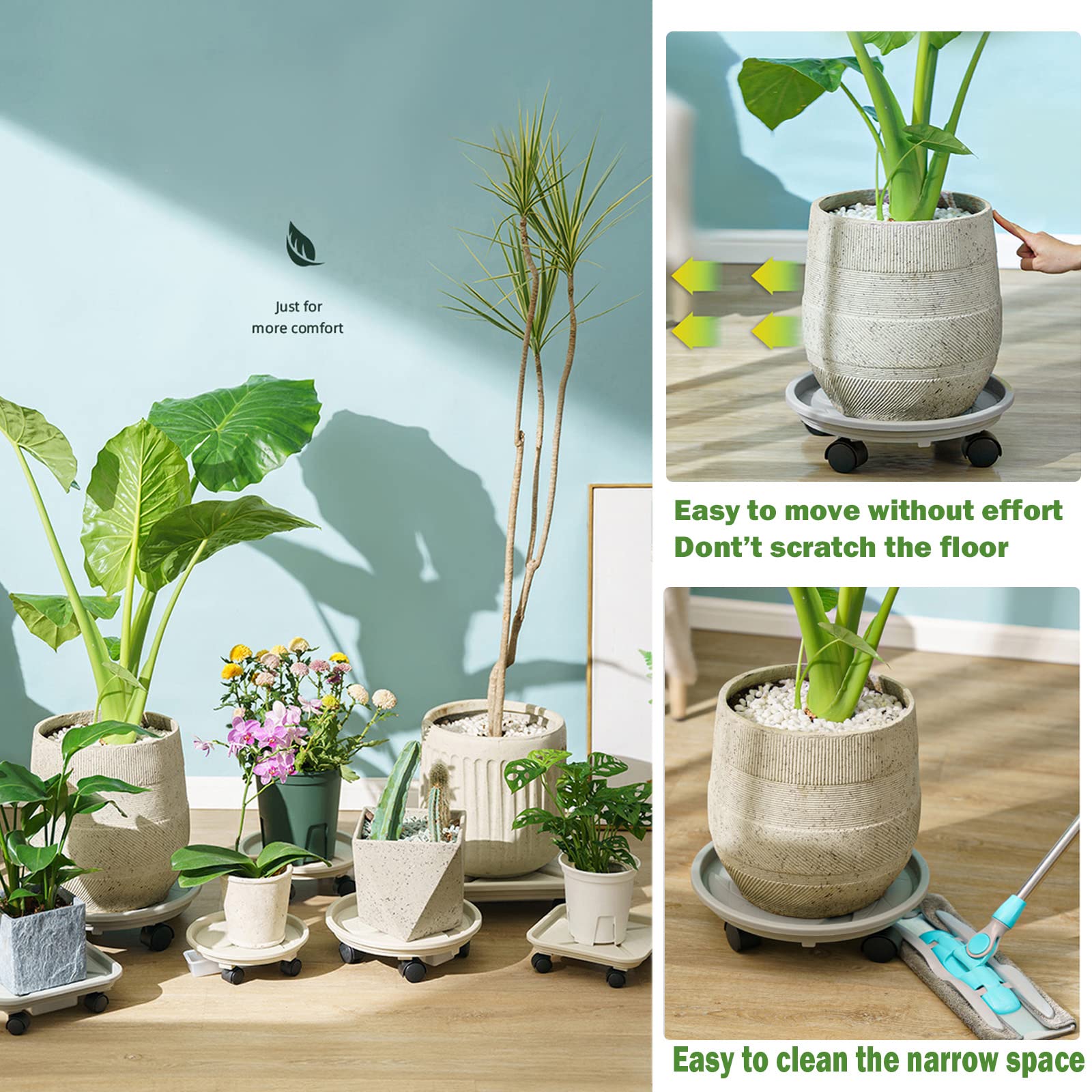Planterhoma rolling plant caddy under a large indoor pot for easy movement