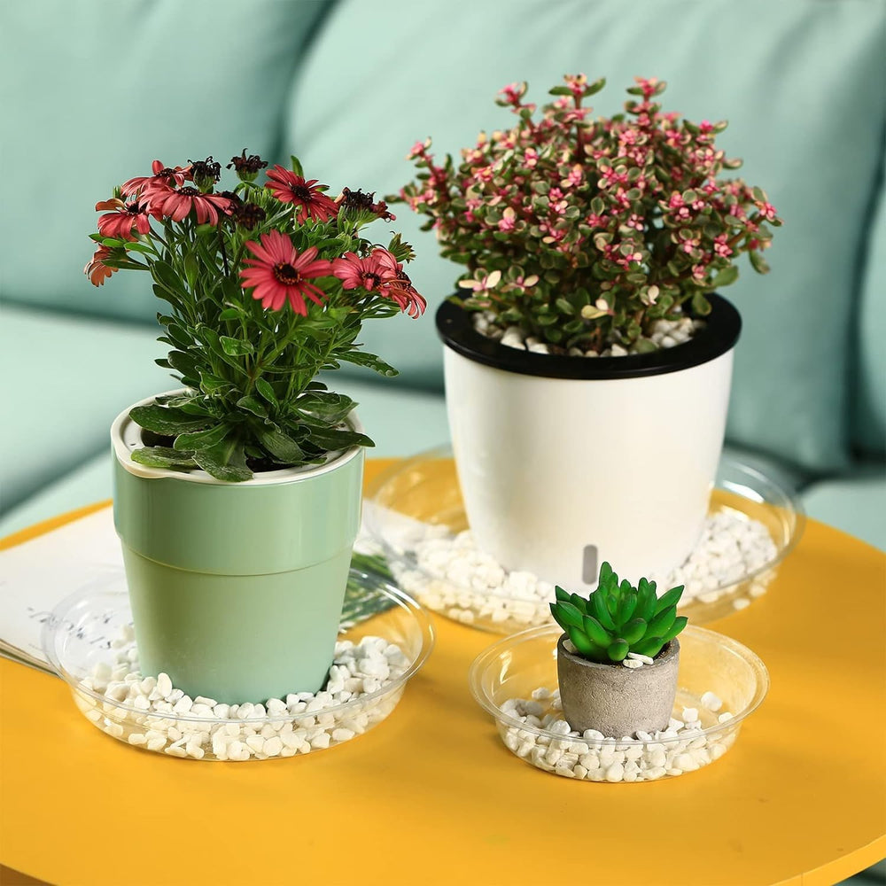 Planterhoma tray in use on wooden deck protects wood from moisture
