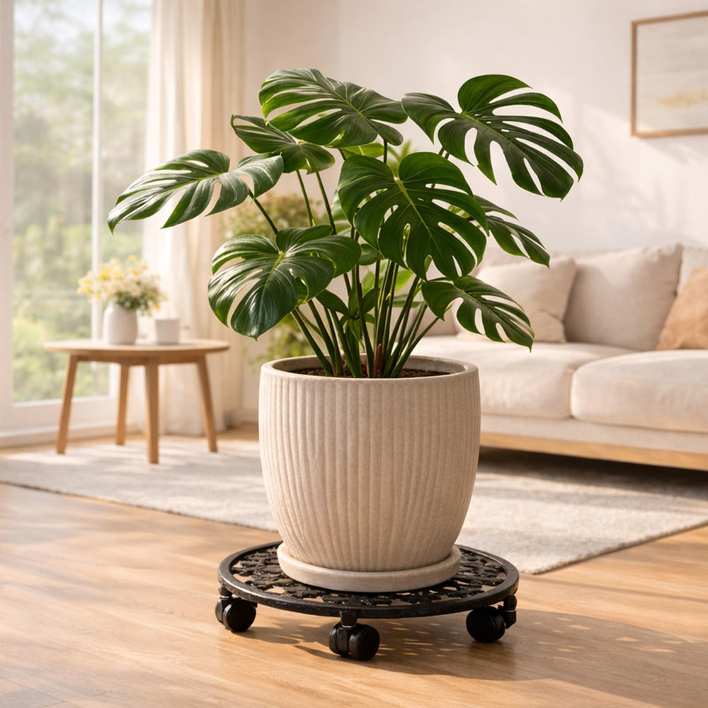 PlanterHoma outdoor on patio holding a planter resisting weather