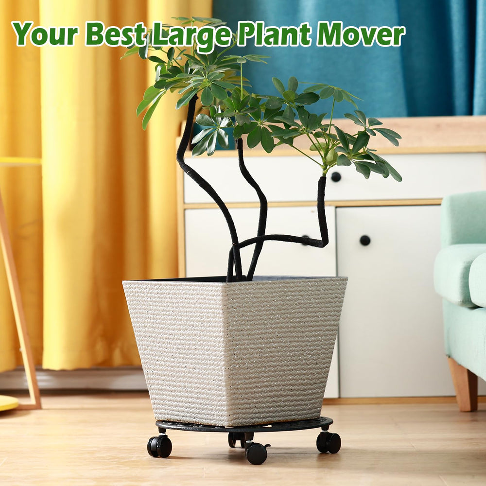 Planterhoma dolly with potted plant being rolled, makes repositioning effortless