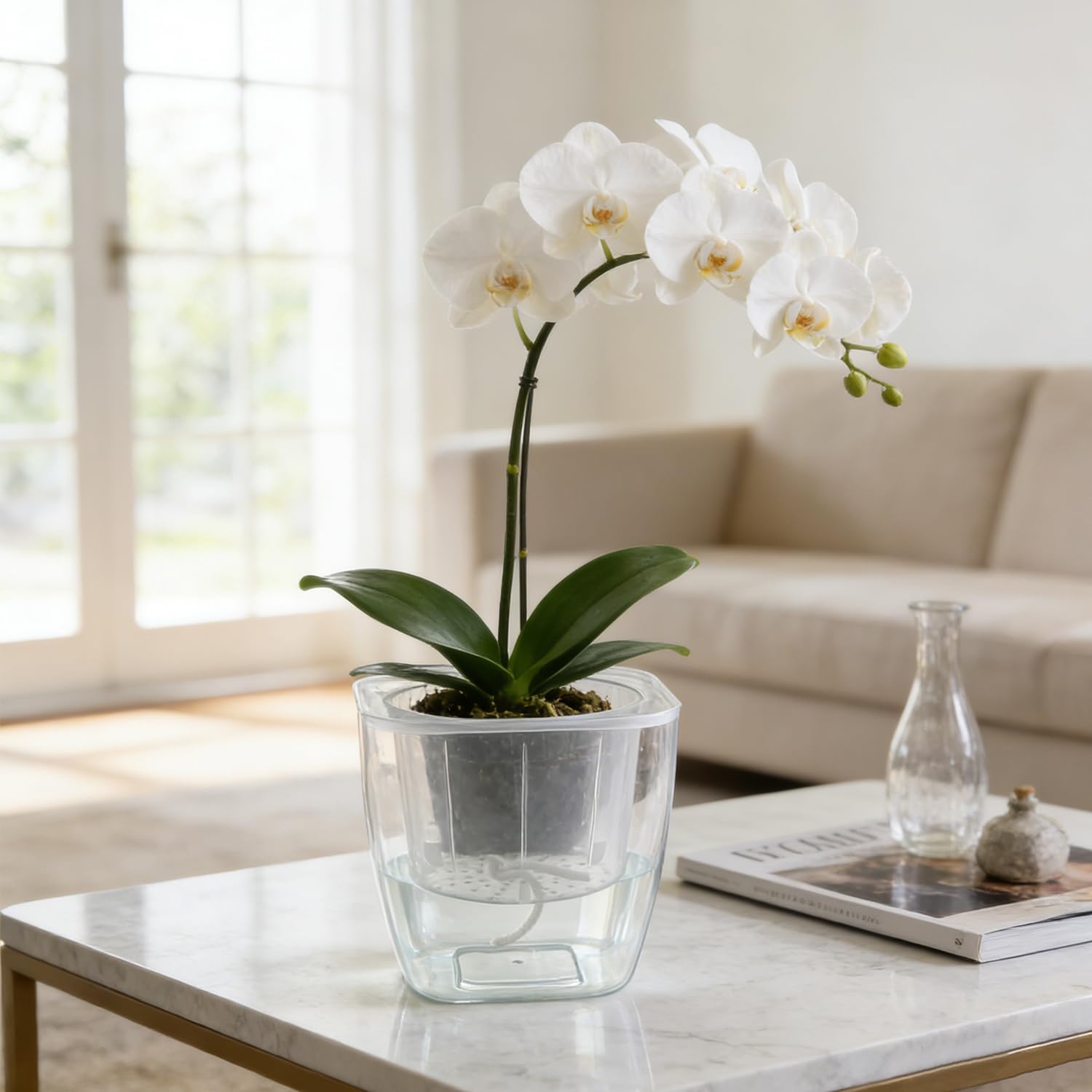 Planterhoma styled on a sunny windowsill with orchids showcasing decor benefit