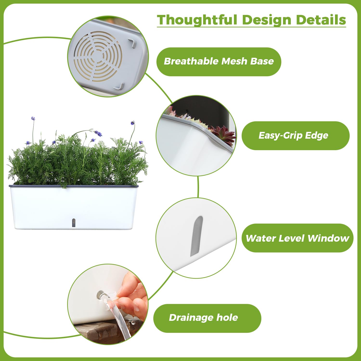 Planterhoma with herbs planted to show planting layout and growing benefit