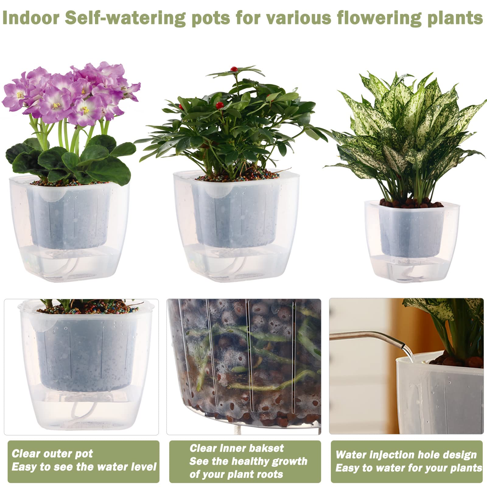 Planterhoma clear pot showing healthy root visibility for easy monitoring