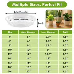 Planterhoma saucer under terracotta pot catching runoff to protect floors
