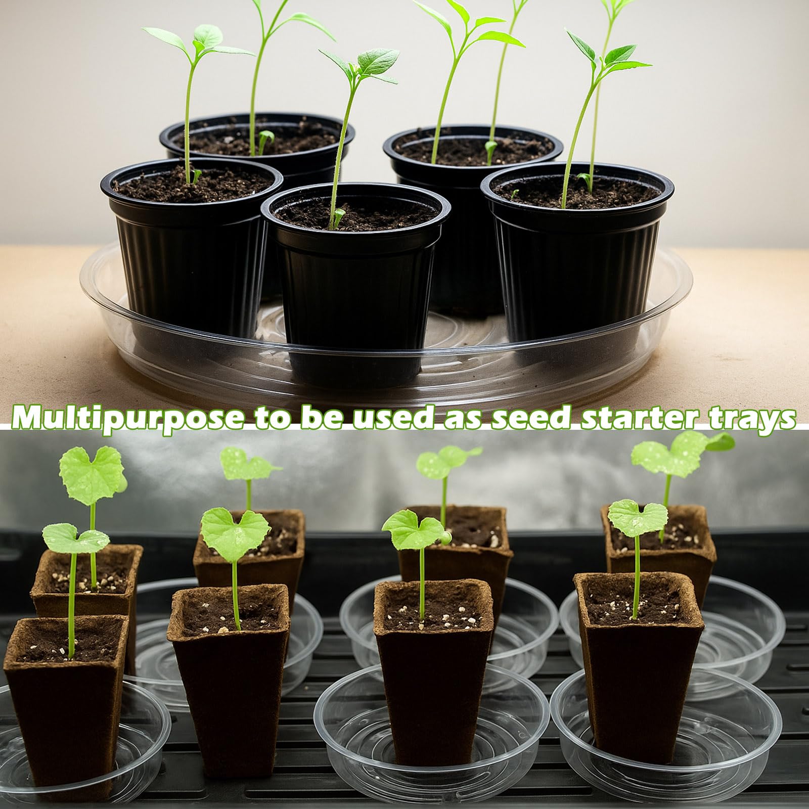 Planterhoma saucers under pots demonstrating water containment and clean floors