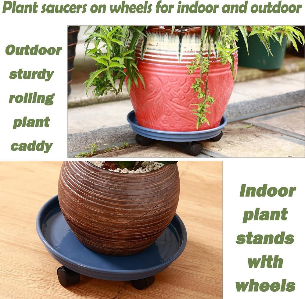 Planterhoma scale comparison with foot showing 12-inch size and weight support