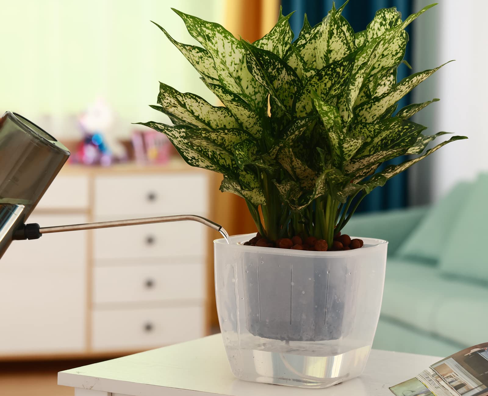 Planterhoma pot held in hand to show 7-inch scale and compact convenience