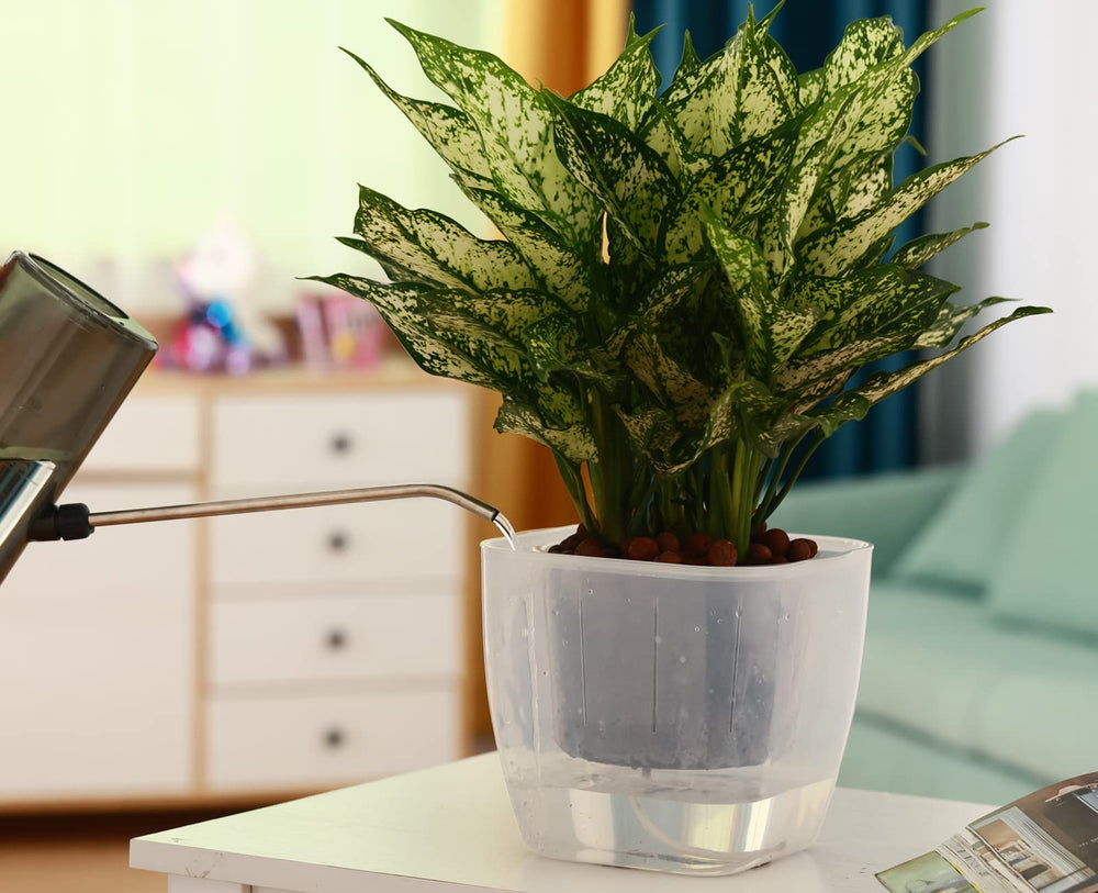Planterhoma pot held in hand to show 7-inch scale and compact convenience
