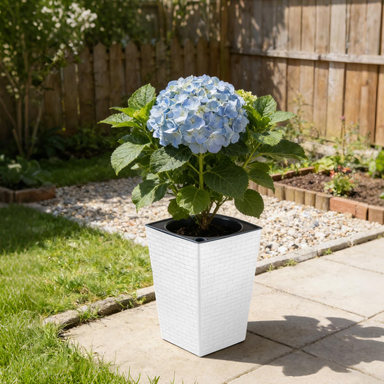Planterhoma side profile showing depth and height suitable for medium-rooted indoor plants