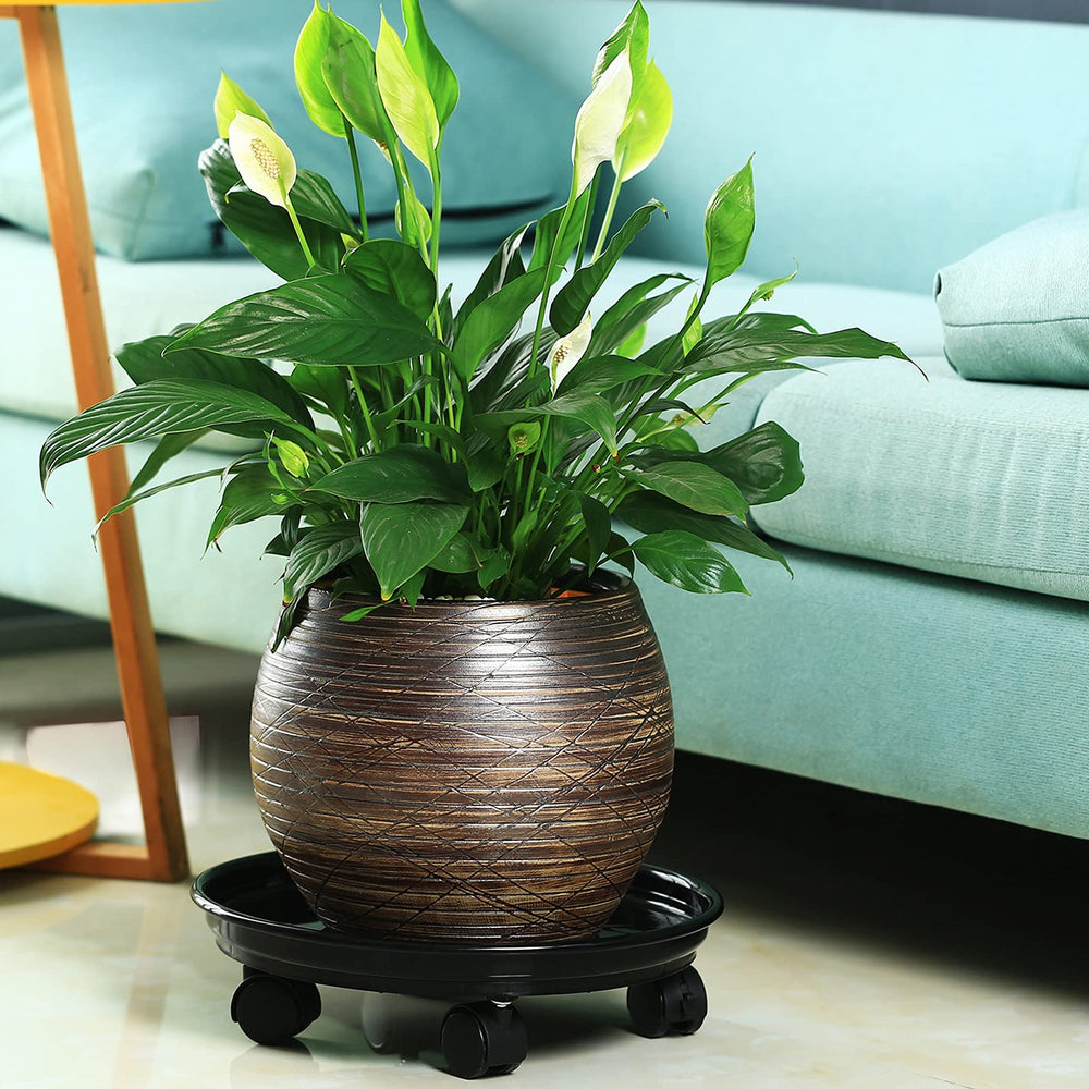 Planterhoma six-pack stacked for storage showing bulk supply convenience