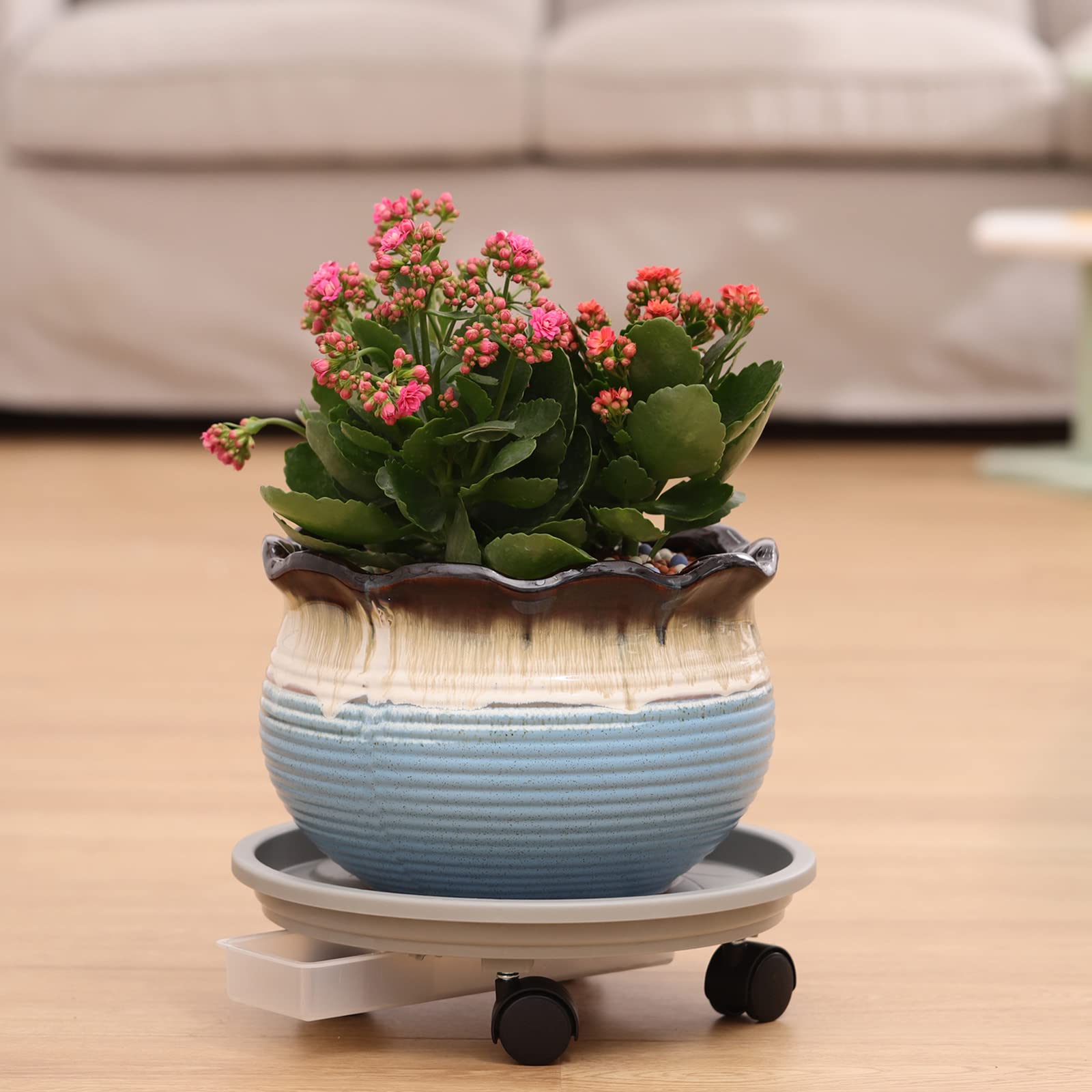 Planterhoma beside ruler and pot showing 13-inch size for proper fit