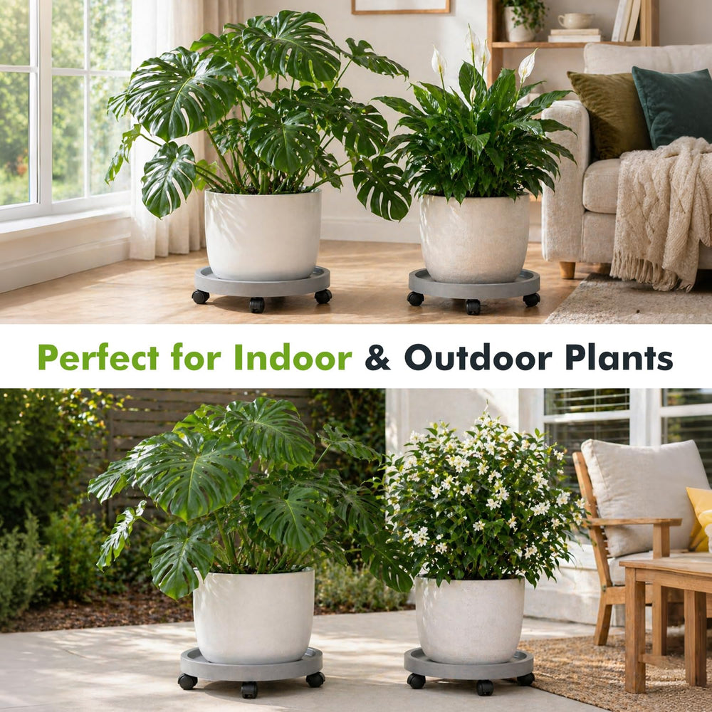 Planterhoma size comparison with a ruler showing 12-inch platform for correct fit