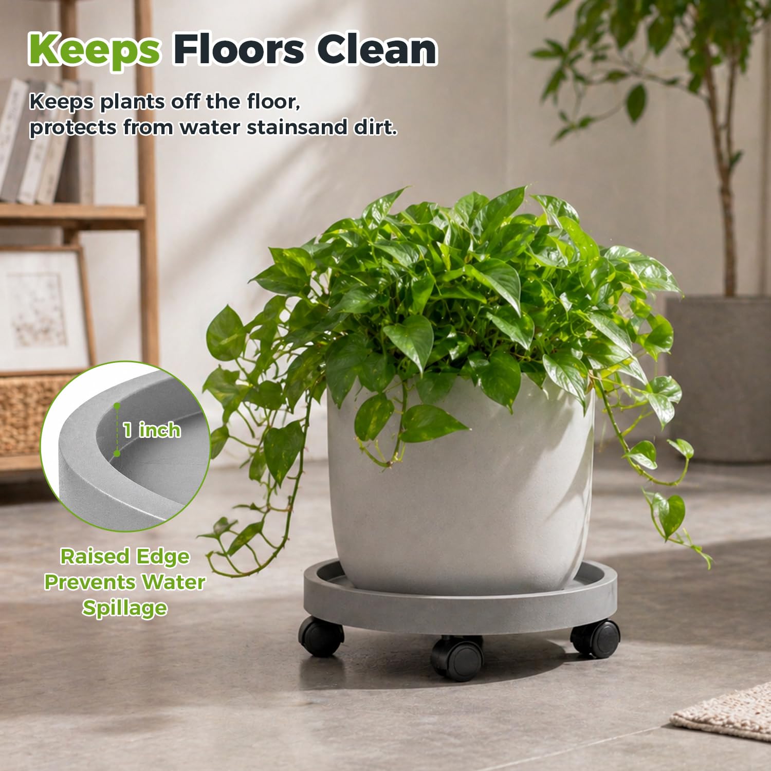 Planterhoma beside ruler to illustrate 13 inch platform size and fit
