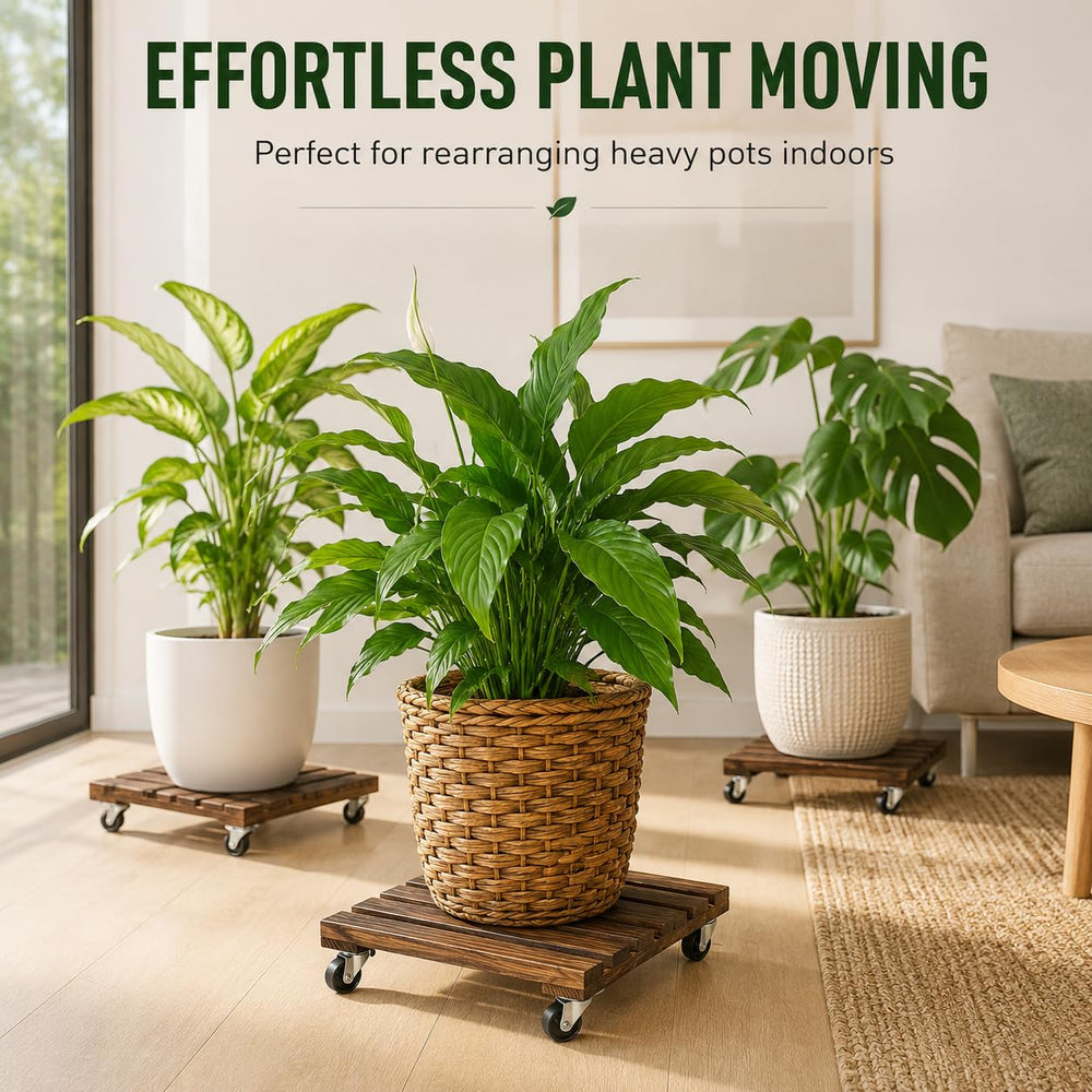 plantoky lifestyle indoor potted plant display demonstrating decorative mobility and convenience