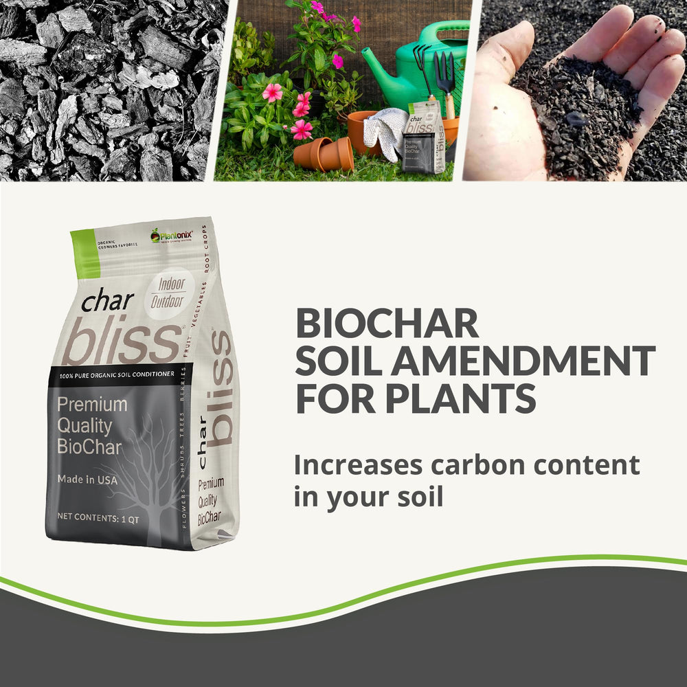 plantonix Char Bliss close texture view highlighting porous biochar benefits