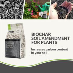 plantonix Char Bliss close texture view highlighting porous biochar benefits