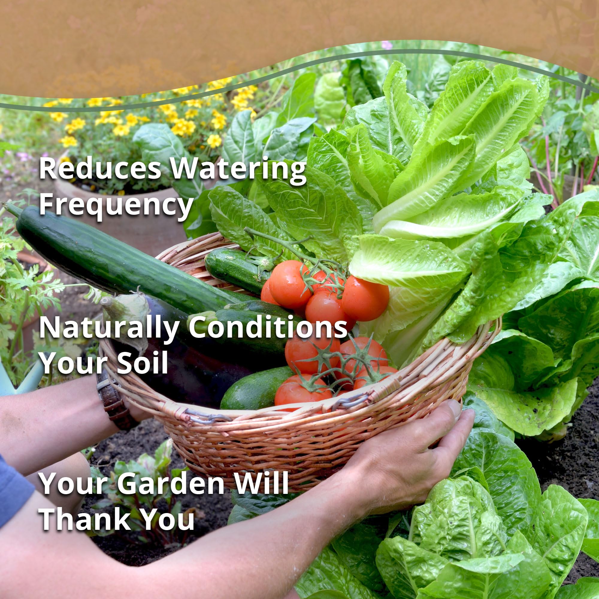 plantonix chips used as top dressing in a container, reduces watering frequency