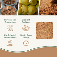 plantonix expanded coco chips texture close-up, porous structure improves airflow