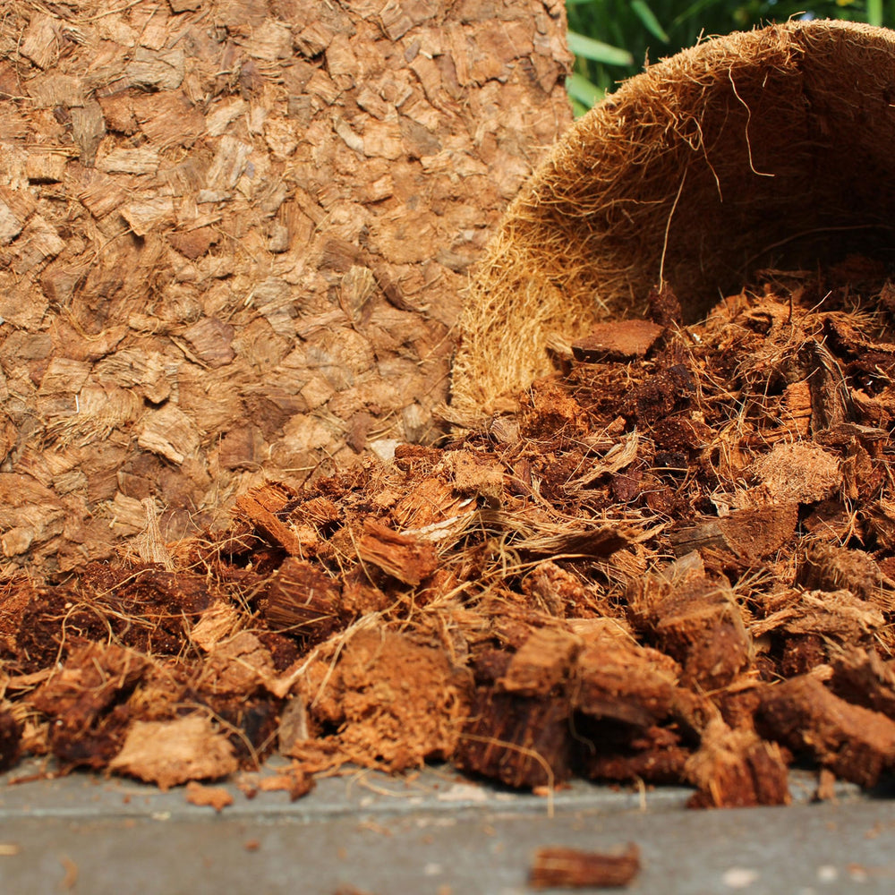 plantonix chips in landscaped flower bed creating a tropical, tidy aesthetic