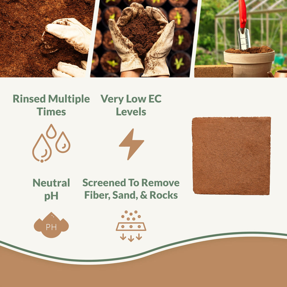 plantonix close-up of expanded coco coir texture improving moisture retention