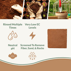 plantonix close-up of expanded coco coir texture improving moisture retention