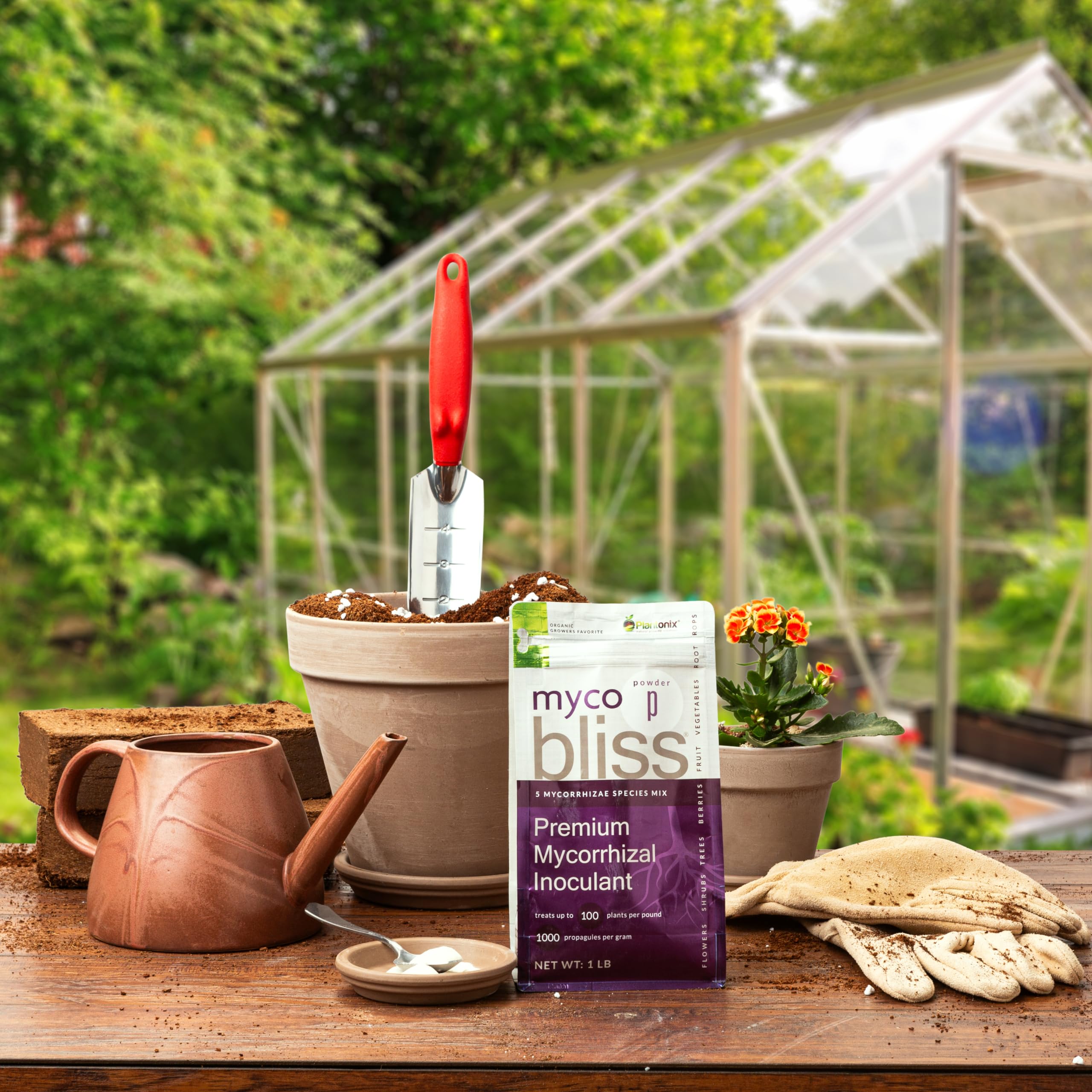 plantonix granules incorporated into garden bed around seedlings to aid drought resilience