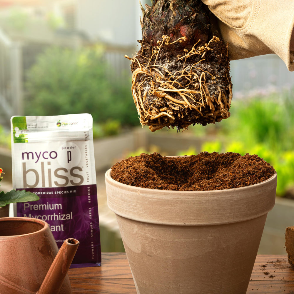 plantonix granules applied to a container with healthy potted plants showing easier nutrient uptake