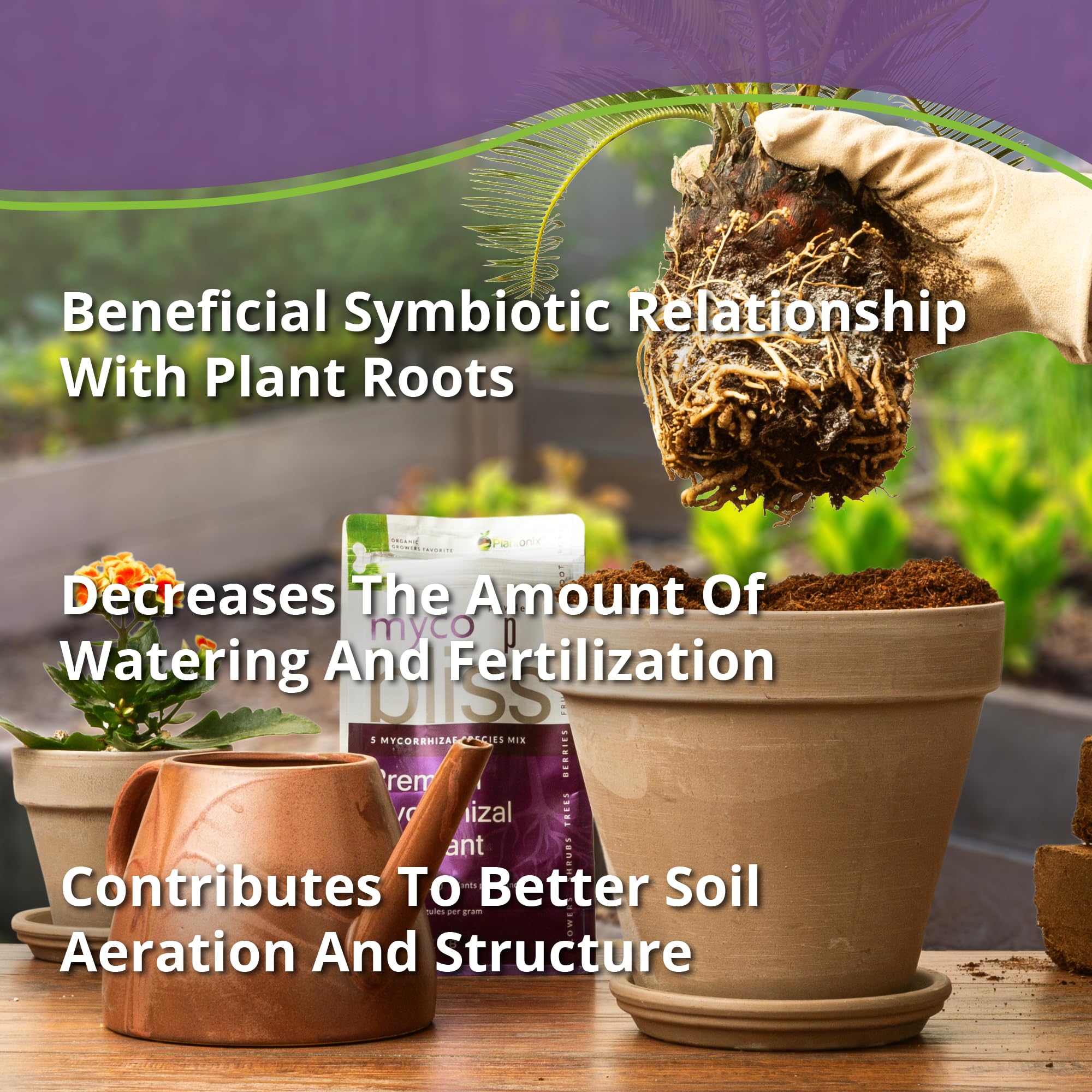 plantonix illustration of roots and fungal hyphae showing extended nutrient access benefit