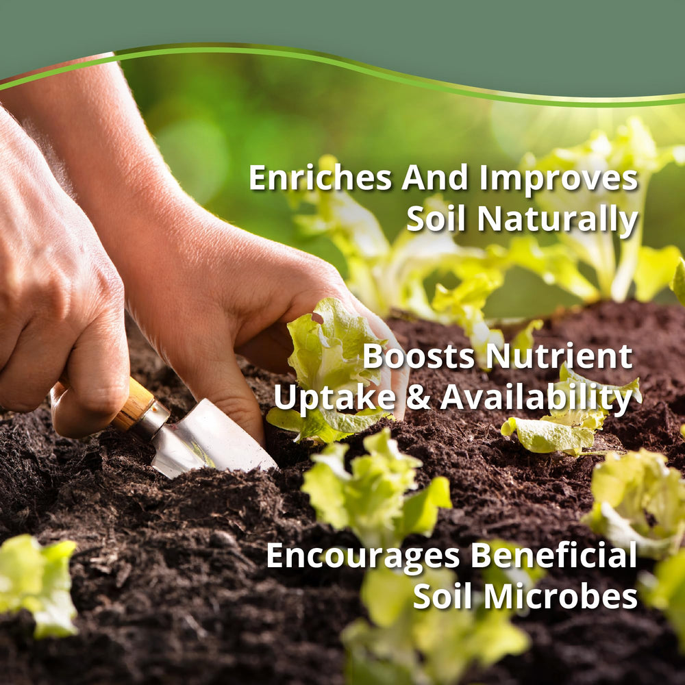 plantonix Neem Bliss used in raised bed garden promoting healthier soil