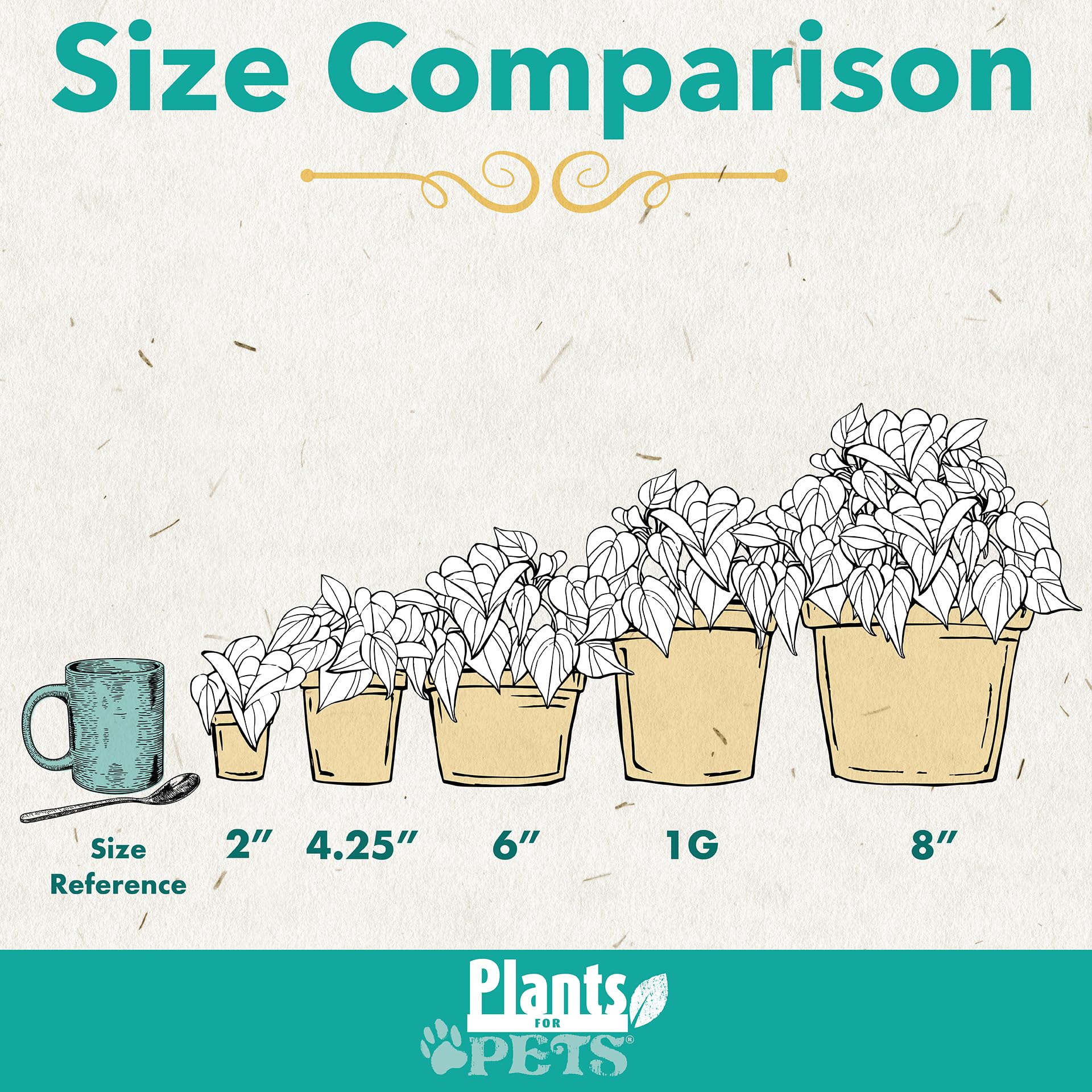 Plants for Pets pebble tray humidity setup demonstrating healthier foliage benefits