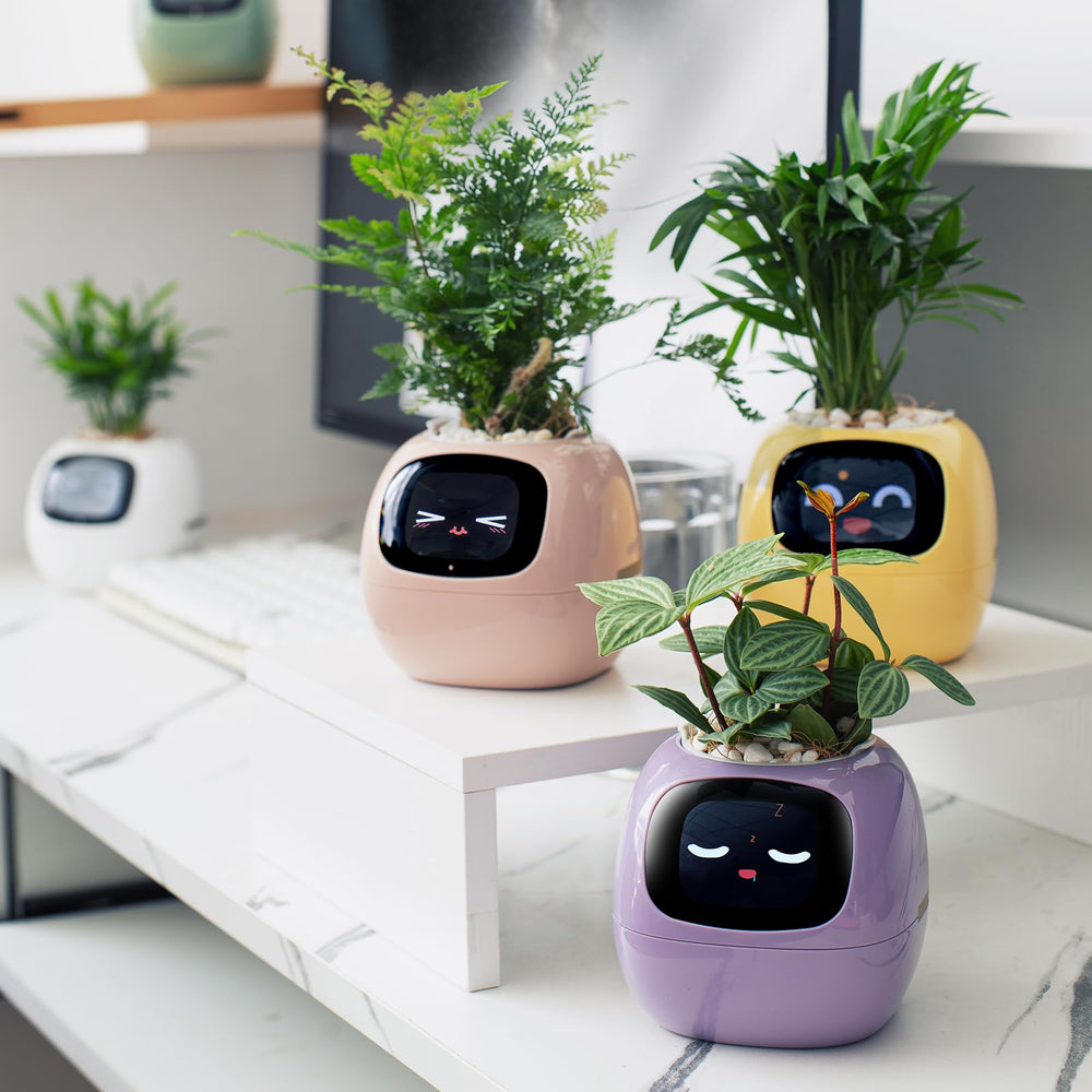 PLANTSIO ambient lighting mode creating cozy desktop atmosphere benefit