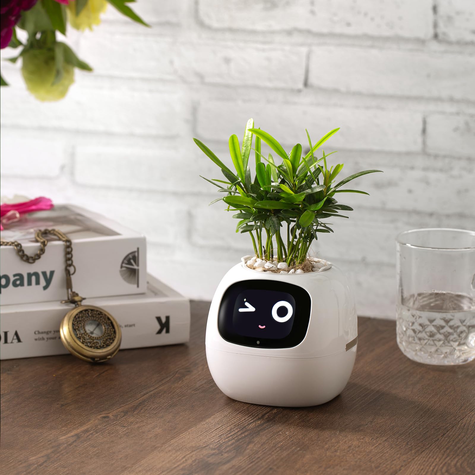 PLANTSIO closeup of soil sensor with clear readings for accurate care benefit