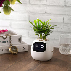 PLANTSIO closeup of soil sensor with clear readings for accurate care benefit