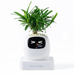 PLANTSIO front view showing clean white planter and modern aesthetic benefit