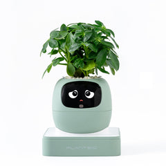 PLANTSIO front view showing modern pot and display, decorative and functional
