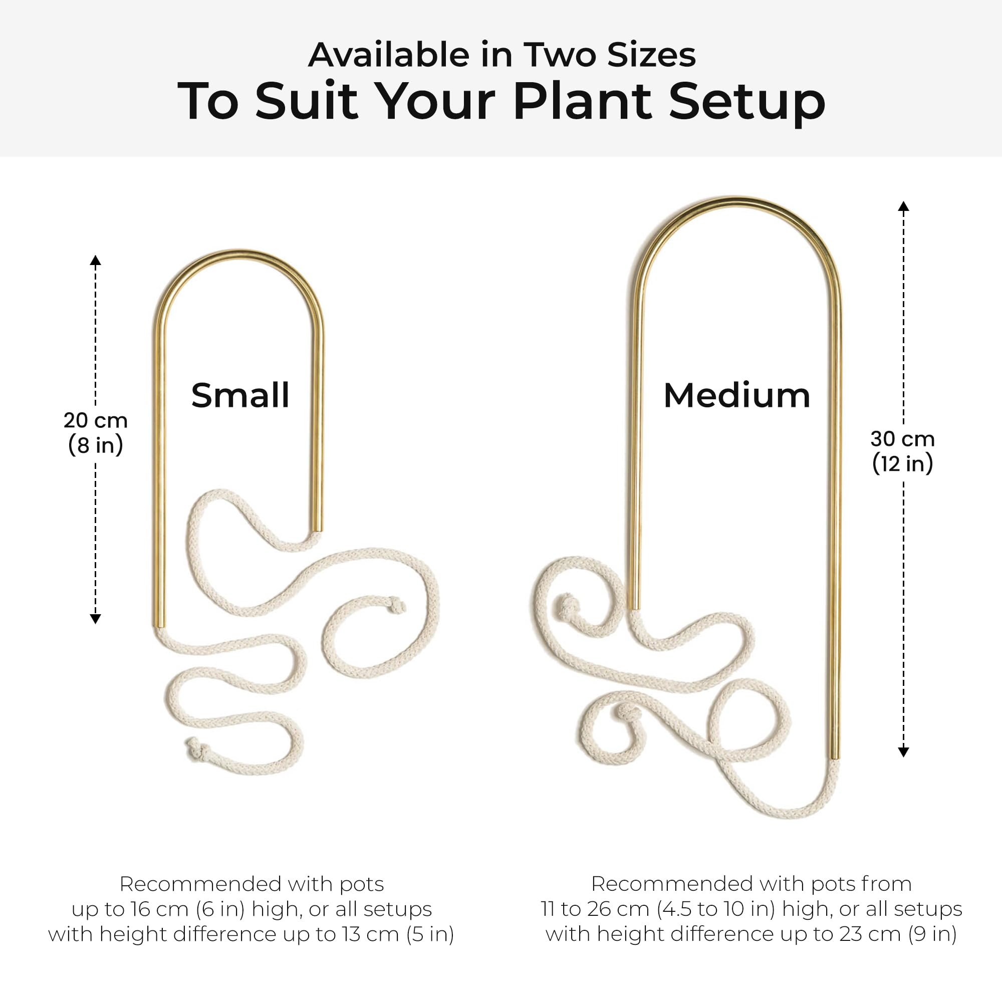 Plantstraws installed in pot showing how it quietly delivers moisture to roots