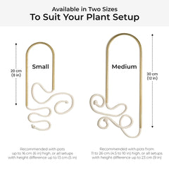 Plantstraws installed in pot showing how it quietly delivers moisture to roots
