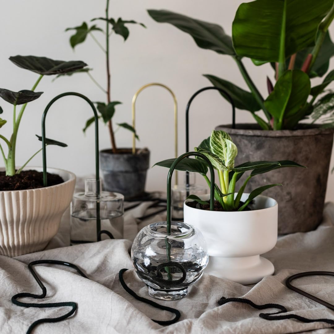 Plantstraws styled on a windowsill with plants showing decorative functionality