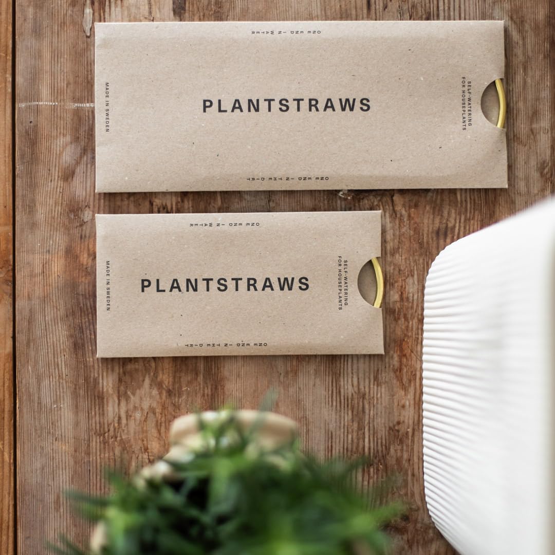 Plantstraws packaging with recycled materials highlighting sustainable design
