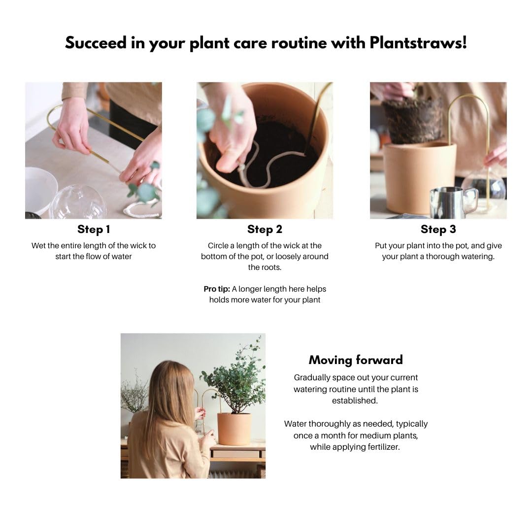 Plantstraws beside a medium pot for scale showing ideal fit and balance