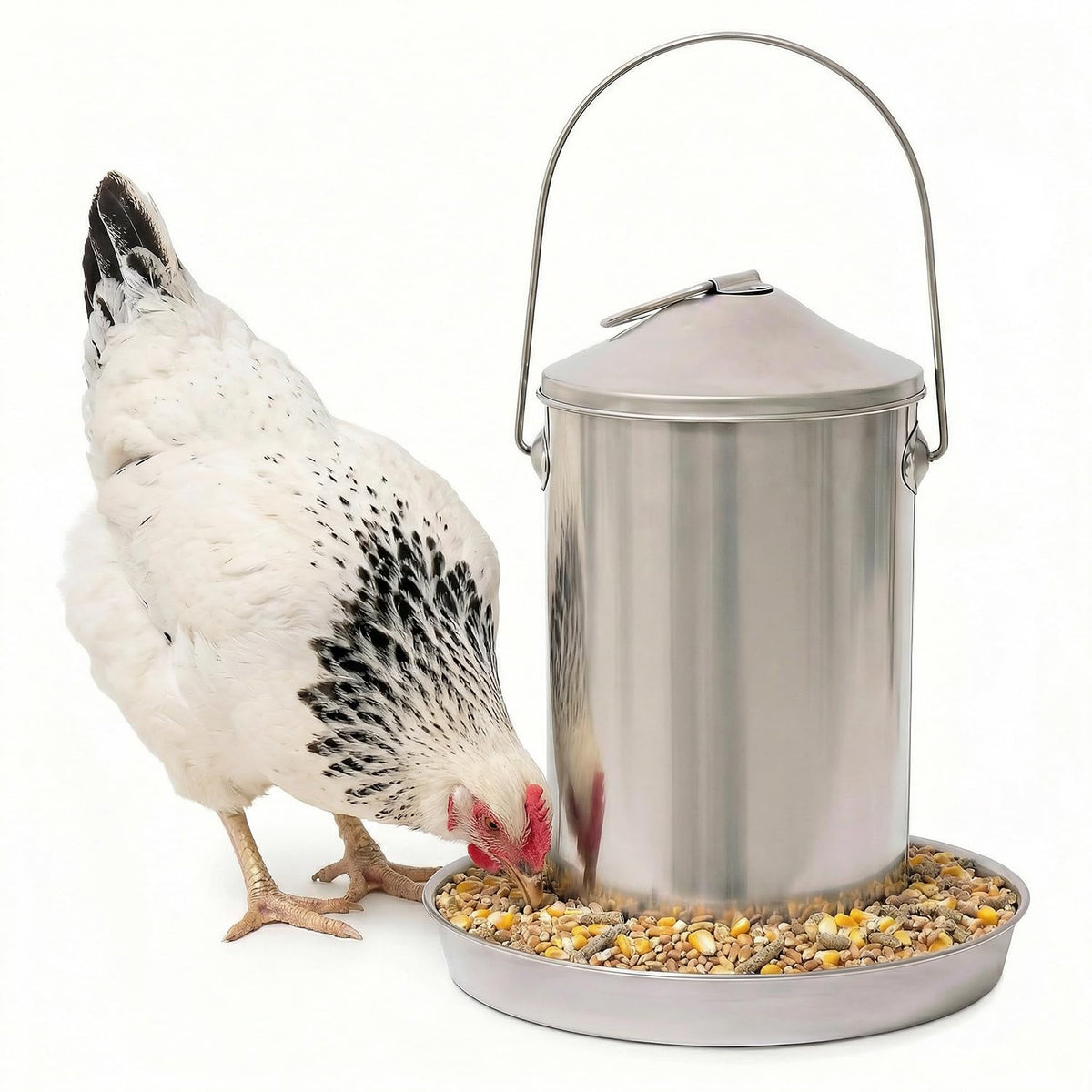 Plexon front view showing sturdy stainless steel feeder and capacity benefit