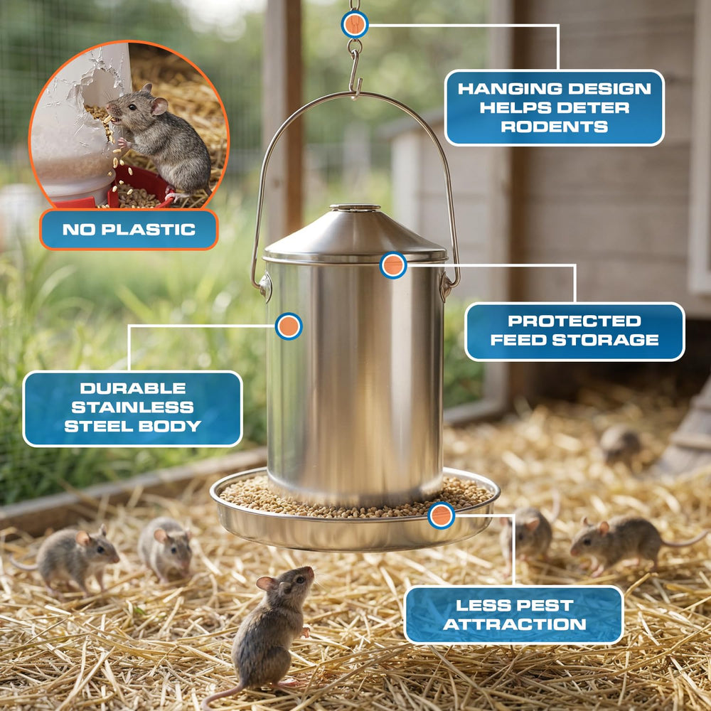 Plexon tray filled with feed demonstrating steady grain flow benefit